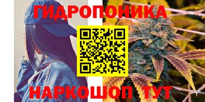 стаф Апшеронск